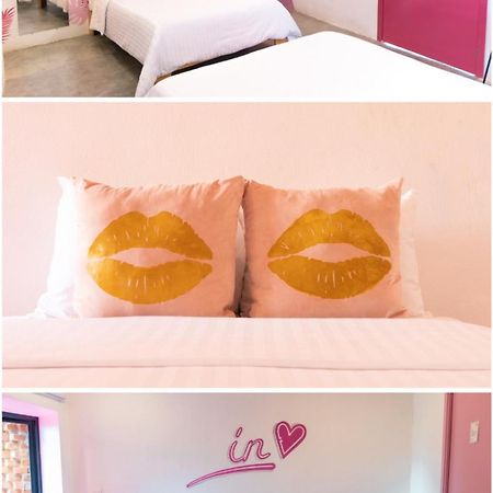 Hotel Suculenta Boutique San Cristóbal de Las Casas المظهر الخارجي الصورة