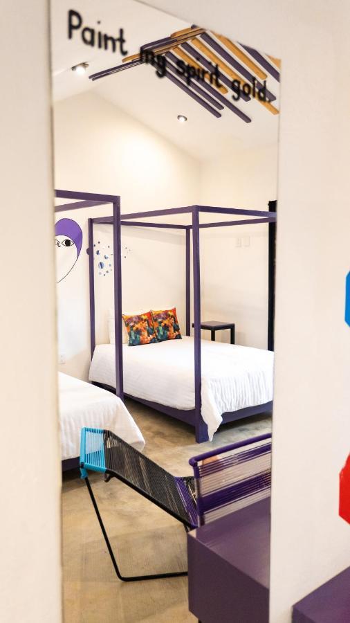 Hotel Suculenta Boutique San Cristóbal de Las Casas المظهر الخارجي الصورة