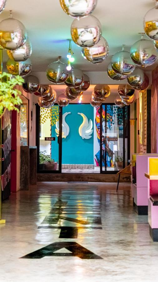 Hotel Suculenta Boutique San Cristóbal de Las Casas المظهر الخارجي الصورة